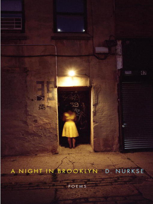 Title details for A Night in Brooklyn by D. Nurkse - Available